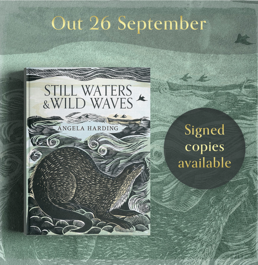 Still Waters and Wild Waves - Available to Pre Order