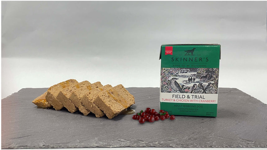 Skinner's Christmas Edition