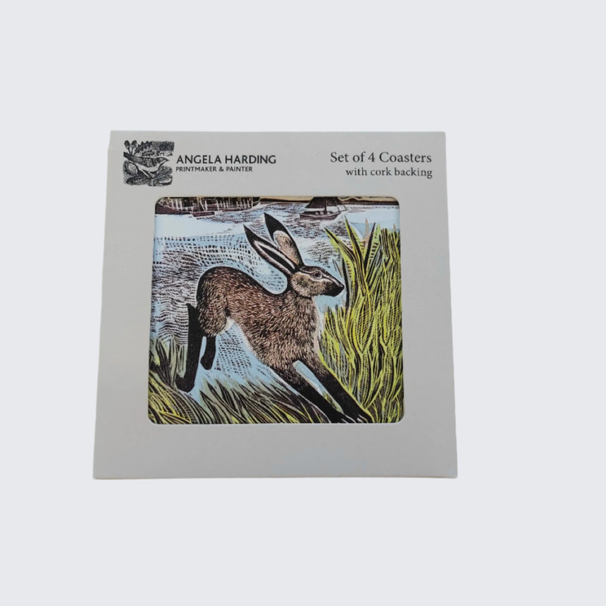 Young Hare Coaster's