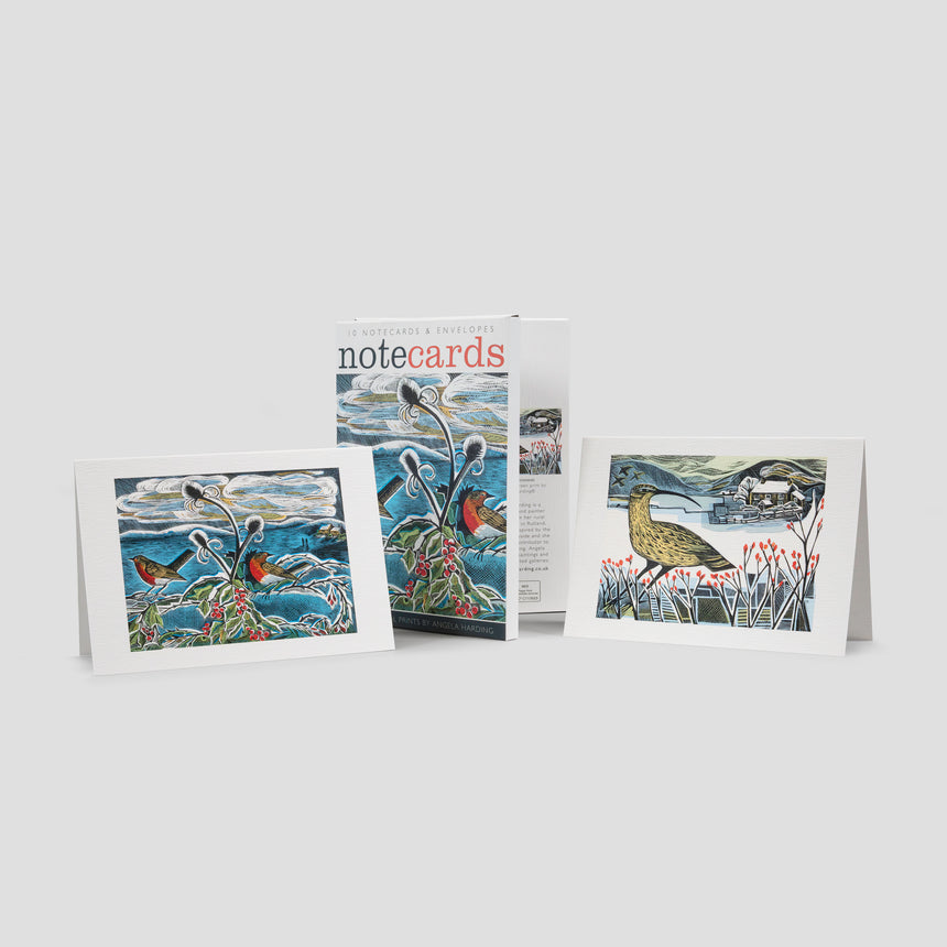 Robin & Teasels and Curlew Christmas Notecards