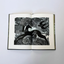 Blossomise Book