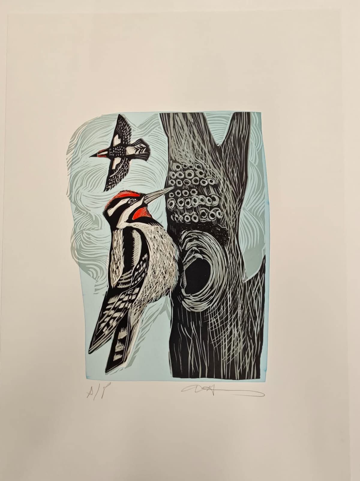 Lesser-Spotted Woodpecker