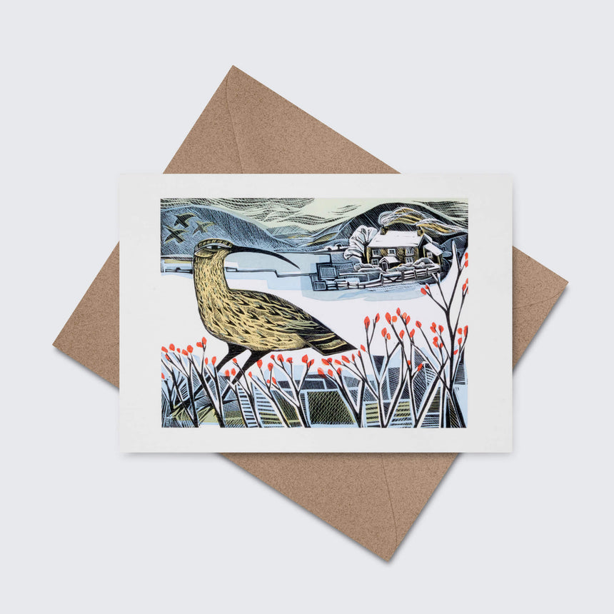 Robin & Teasels and Curlew Christmas Notecards