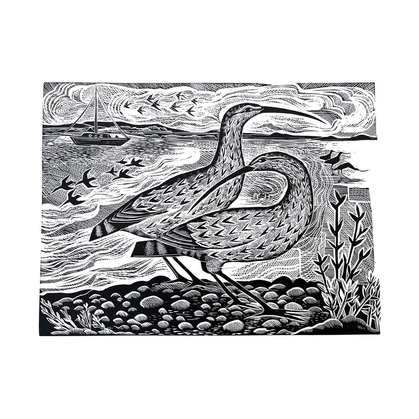 Curlews at the Deben River B/W