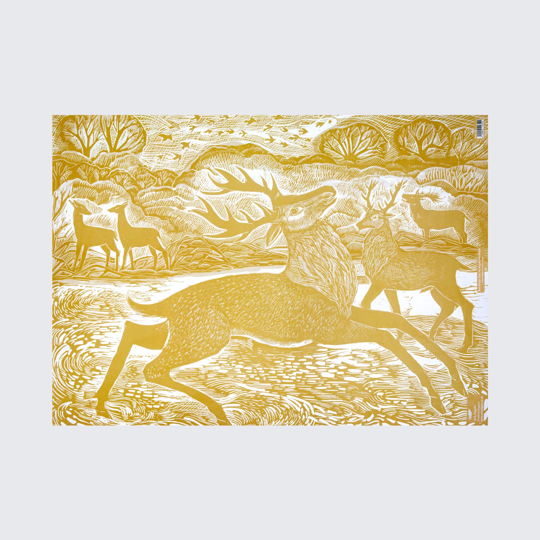 Knepp Red Deer Wrapping Paper