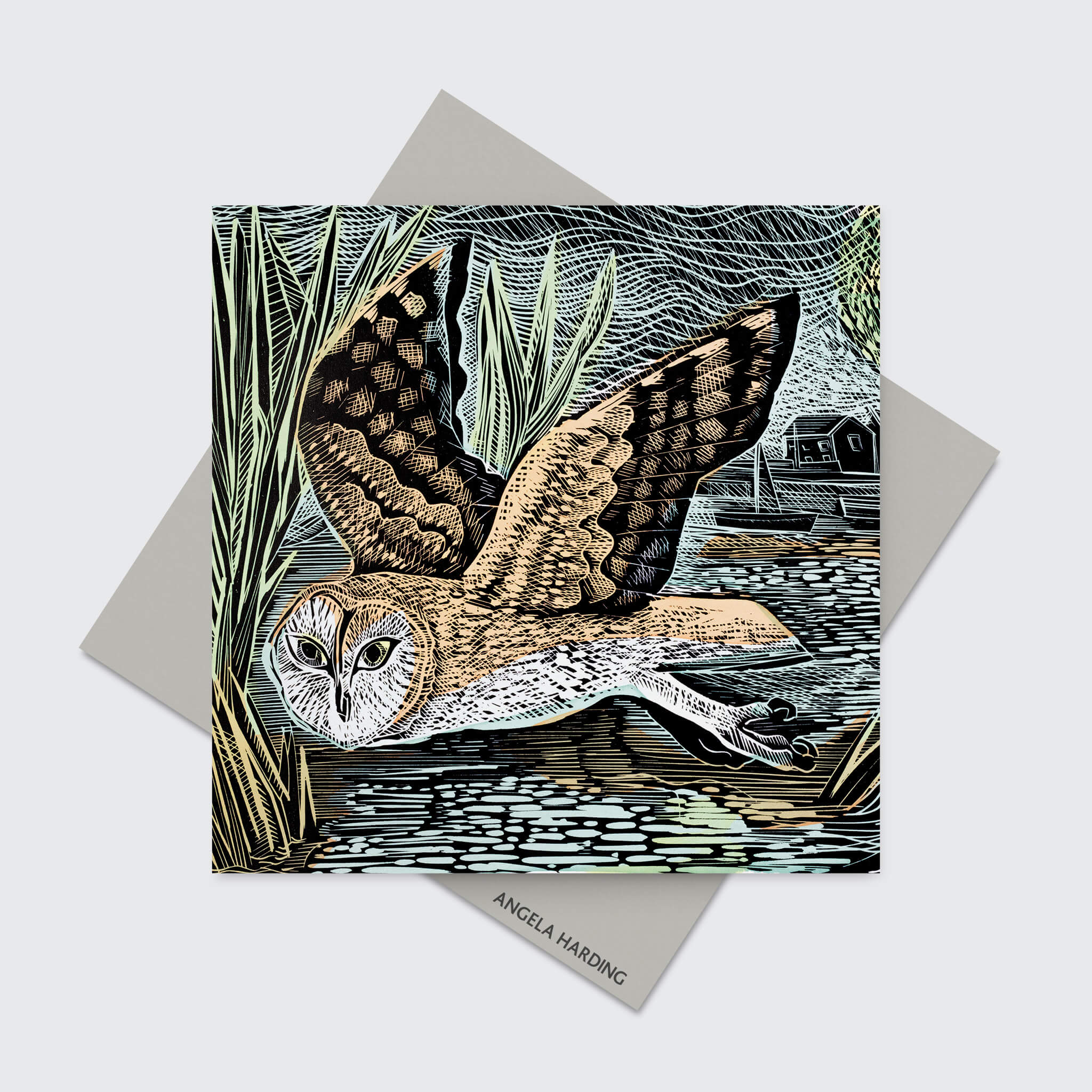 Marsh Owl Greeting Card