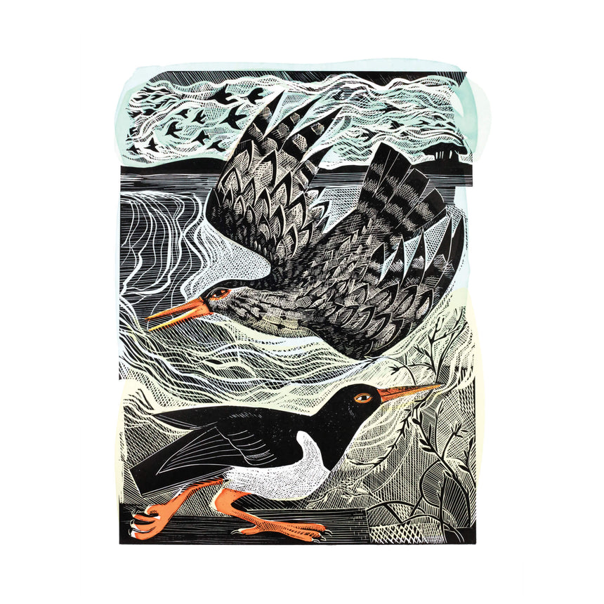 Redshank & Oystercatcher