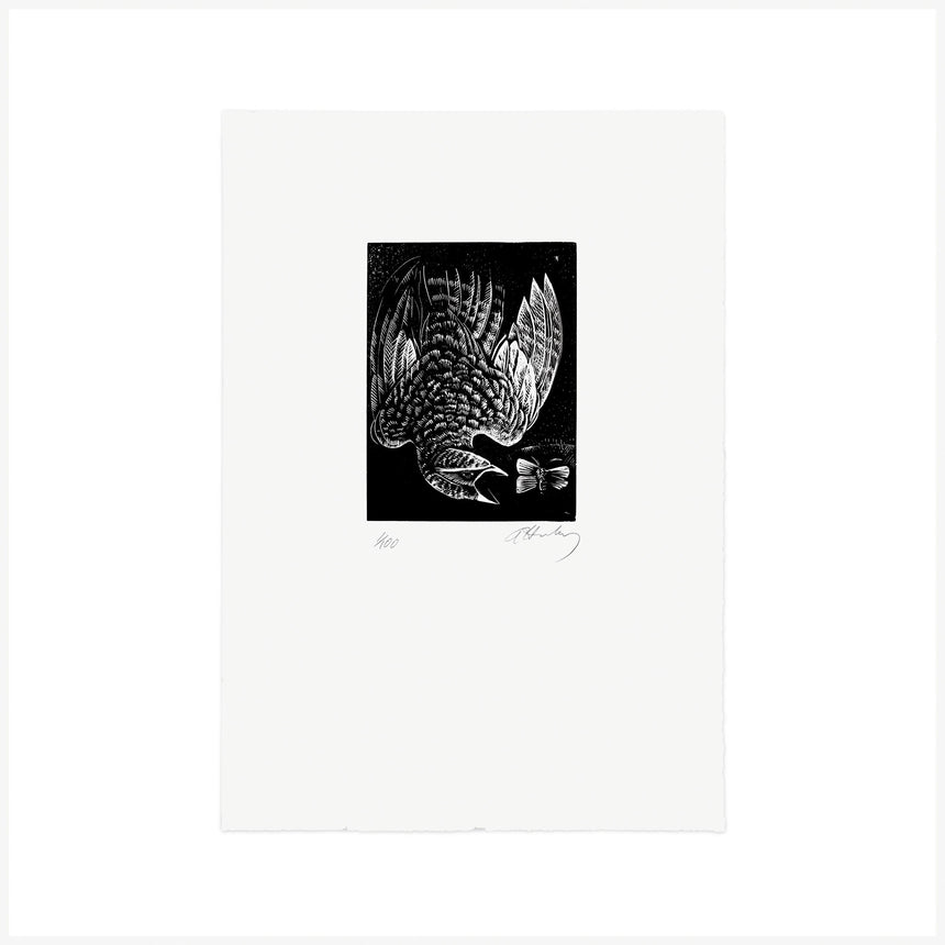 N is for Nightjar, Wood Engraving by Angela Harding