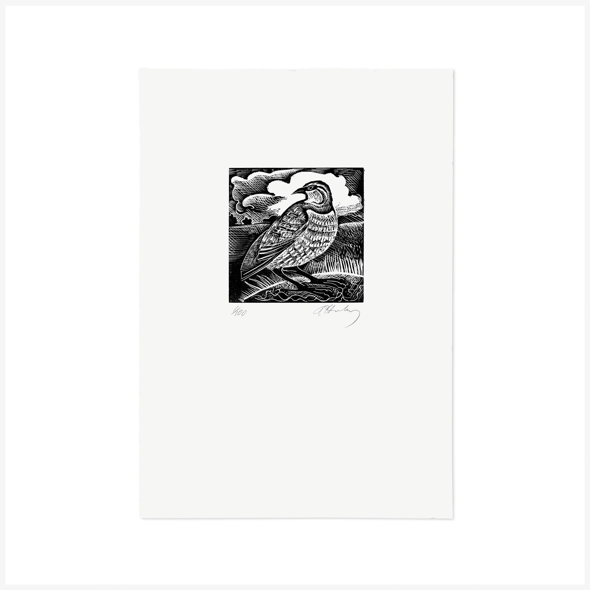 Q is for Quail, Wood Engraving by Angela Harding