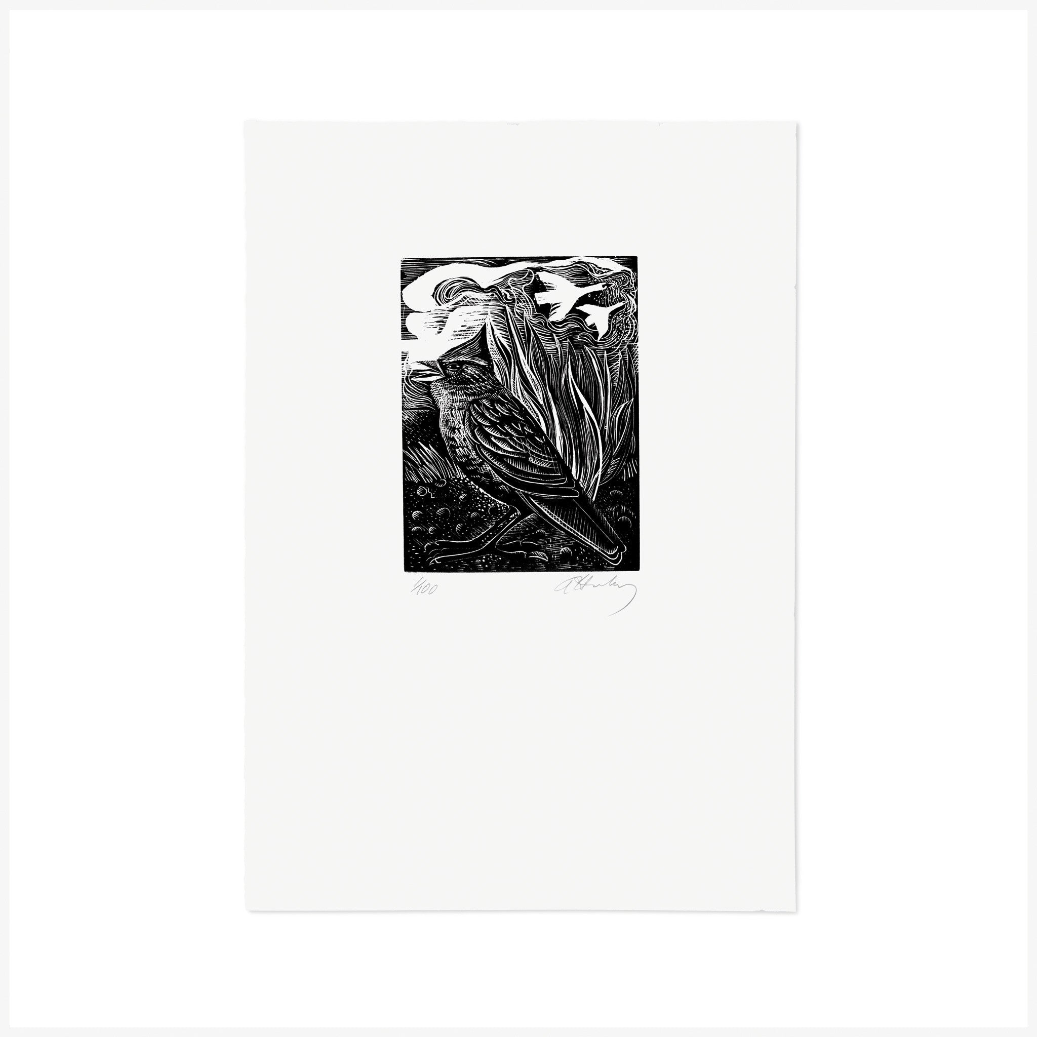 S is for Skylark, Wood Engraving by Angela Harding