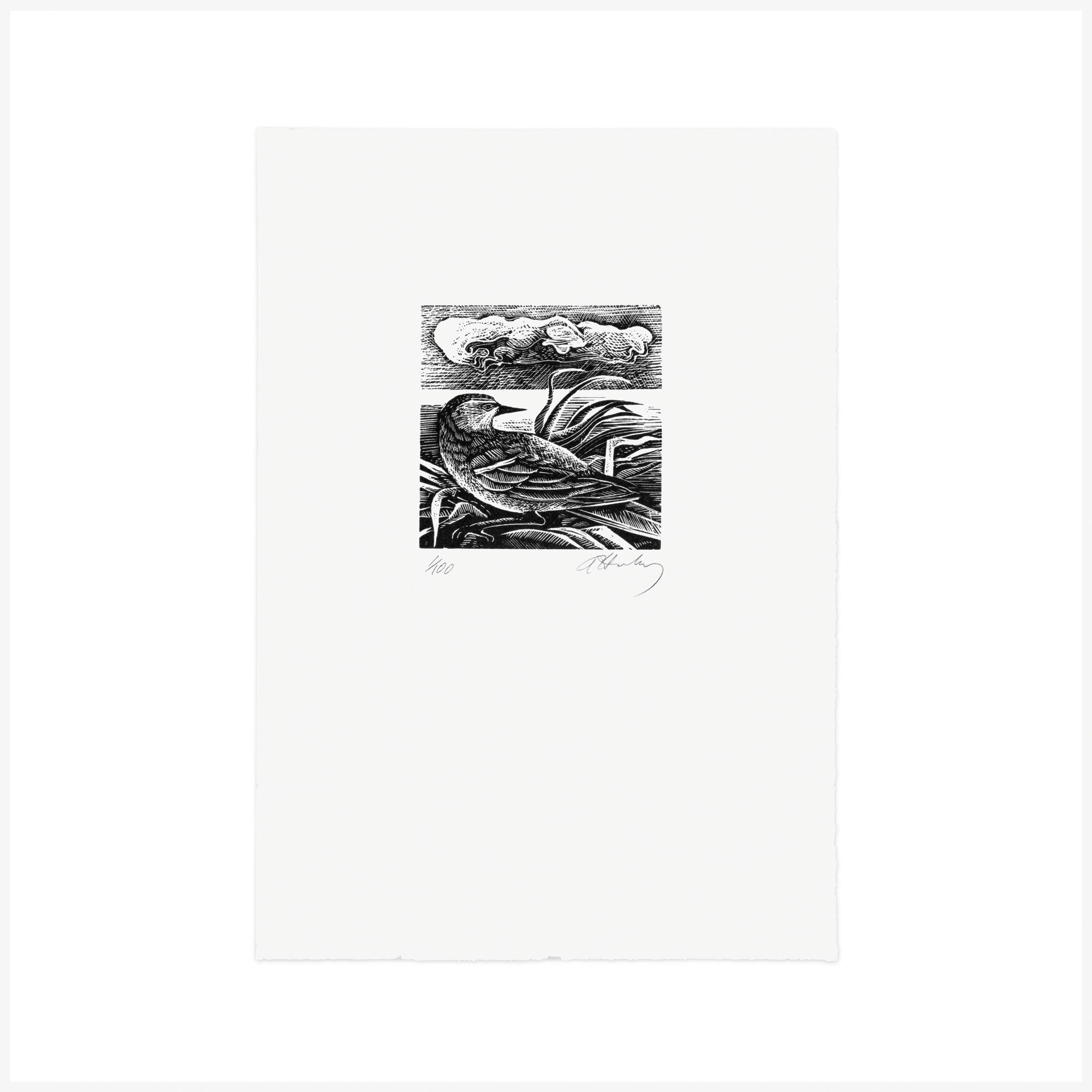 U is for Unknown Bird, Wood Engraving by Angela Harding