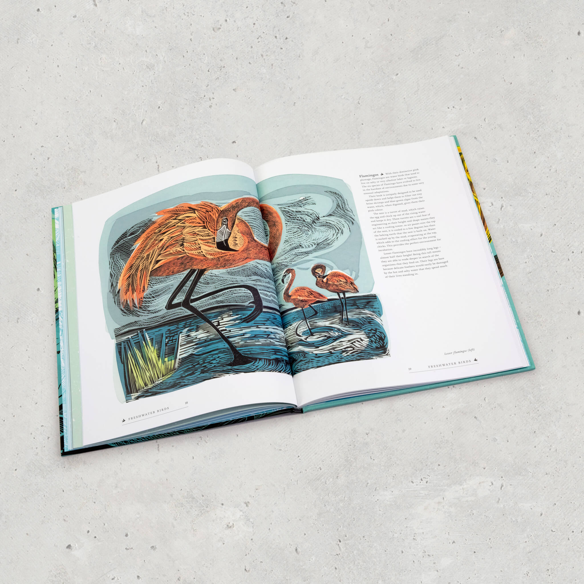 RSPB Birds Book