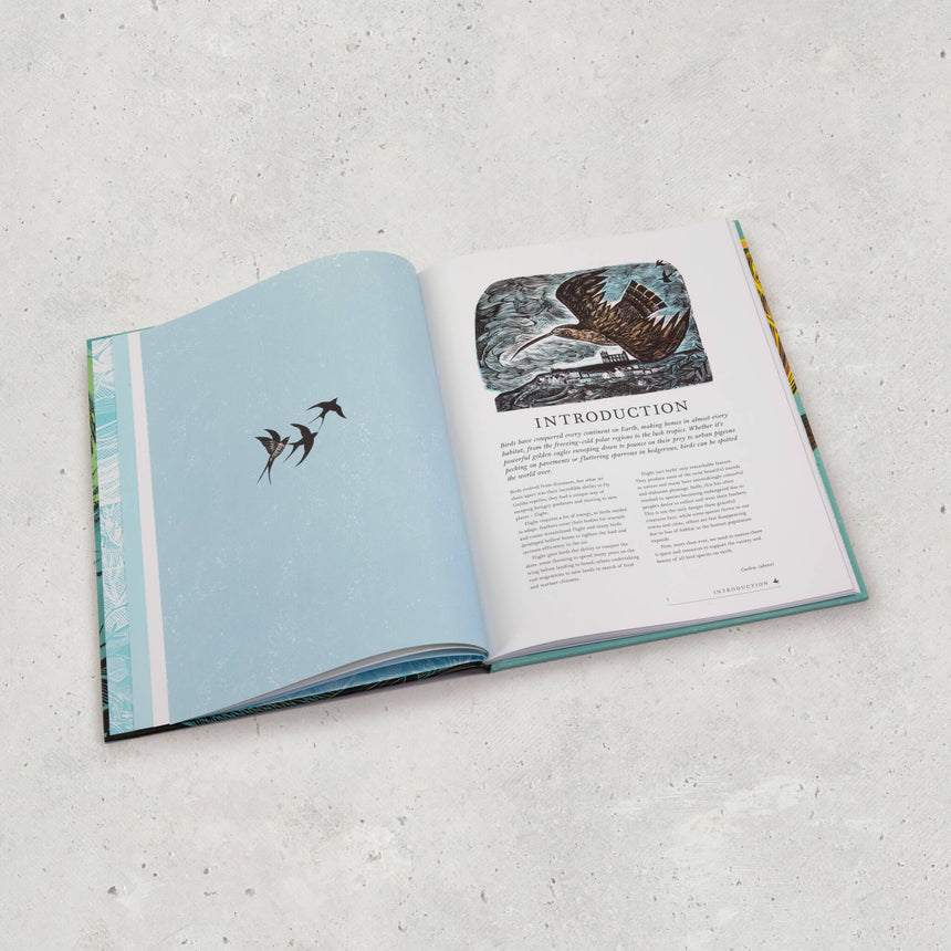 RSPB Birds Book