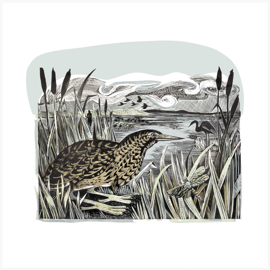 Bittern and Wetlands, Linocut Print by Angela Harding