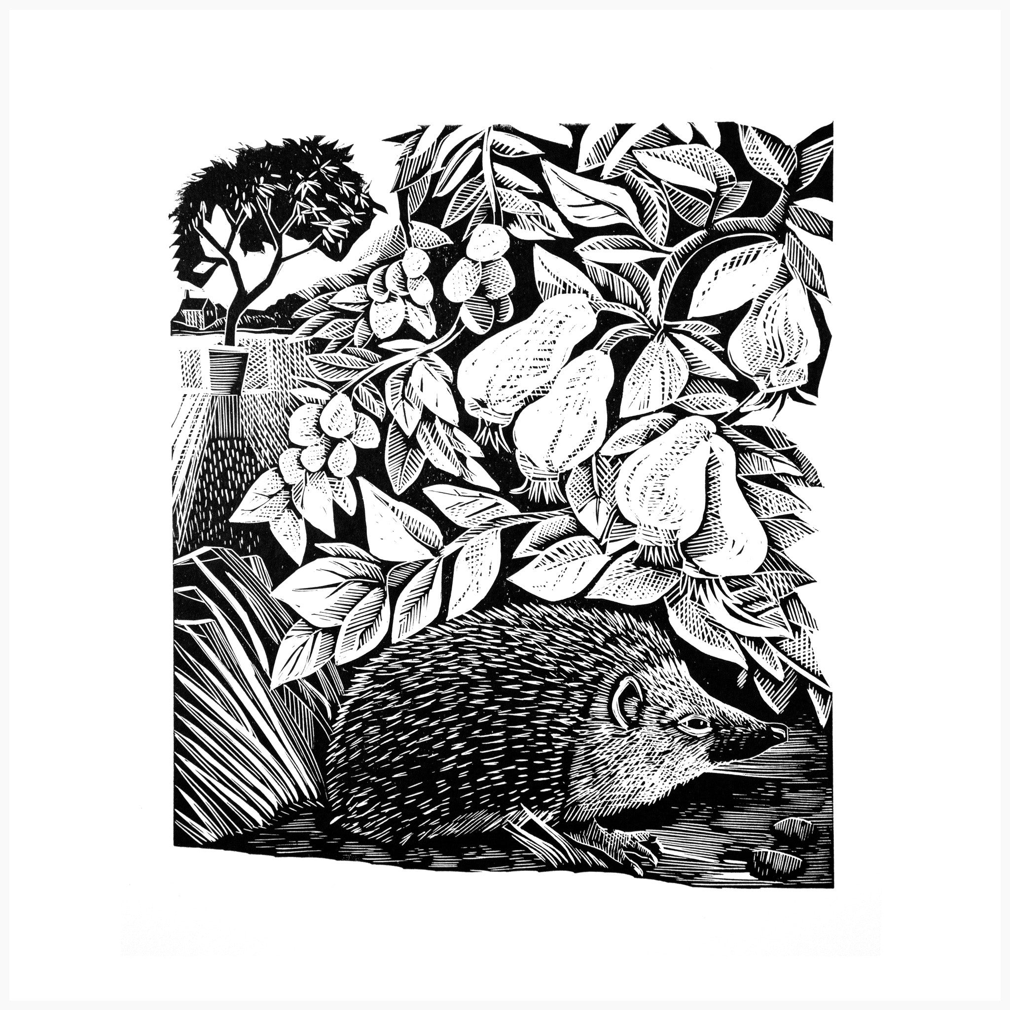 Hidden Hedgehog – Black and White Edition - Angela Harding