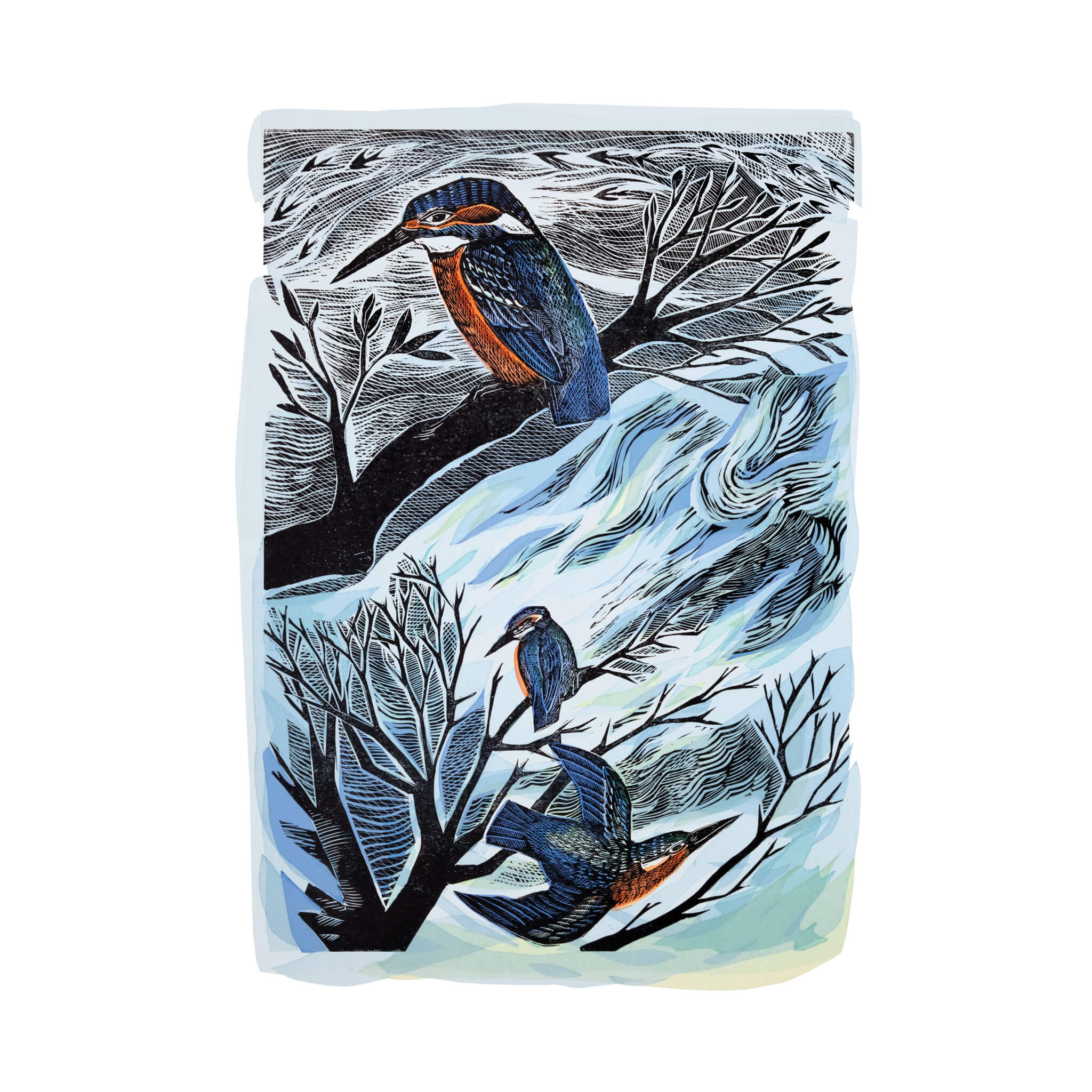Suffolk Kingfishers linocut print by Angela Harding