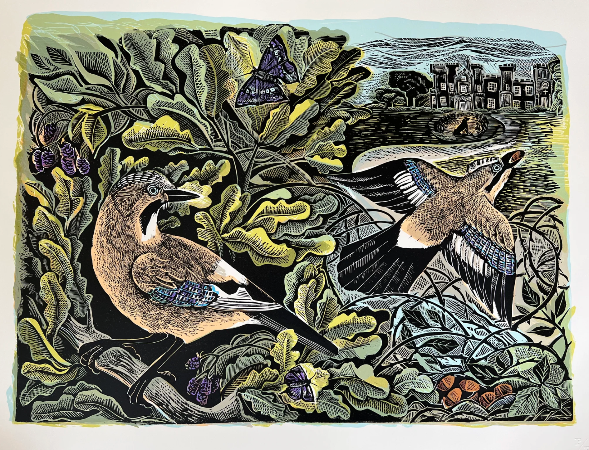 Wilding by Isabella Tree Illustrated by Angela Harding