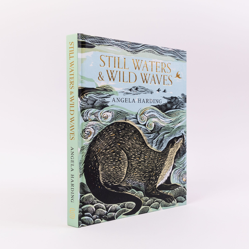 Publication Day for Still Waters & Wild Waves