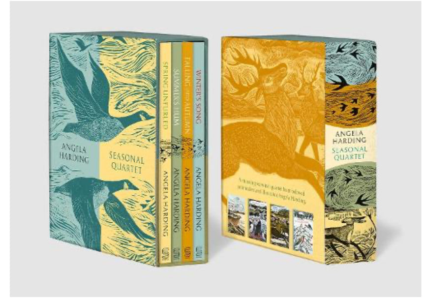 Seasonal Quartet Boxset: Includes Spring Unfurled, Summer’s Hum, Falling into Autumn and Winter’s Song