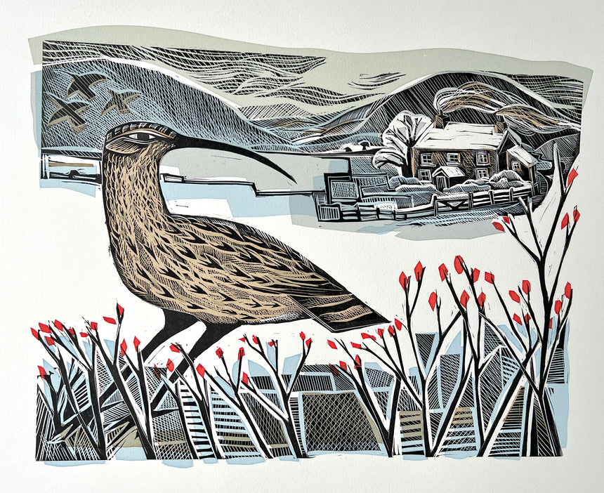 Curlew and Snow Fields