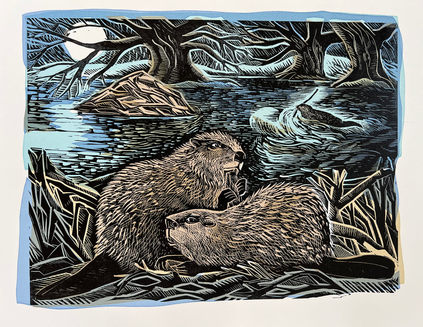 Knepp Night Beavers