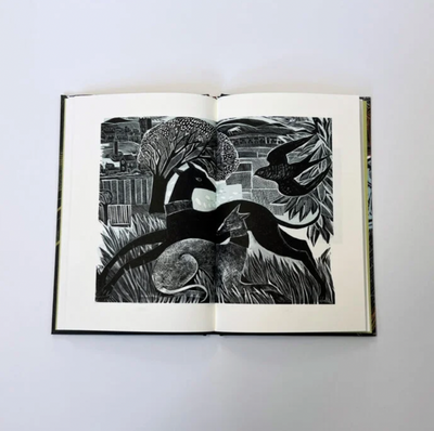 Blossomise Book