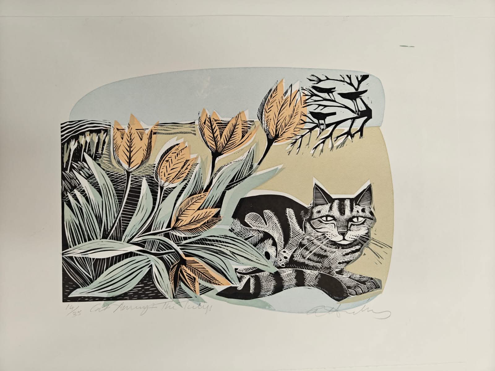 Cat Amongst The Tulips