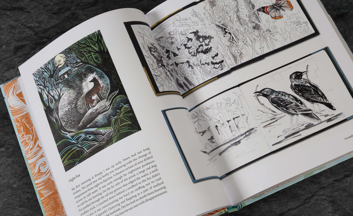 Angela Harding | Illustration