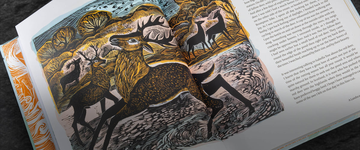 Angela Harding | Linocut Prints, Giftware and Paintings