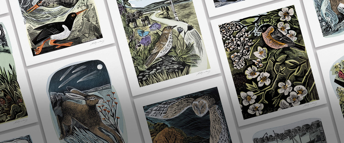 Angela Harding | Linocut Prints, Giftware and Paintings