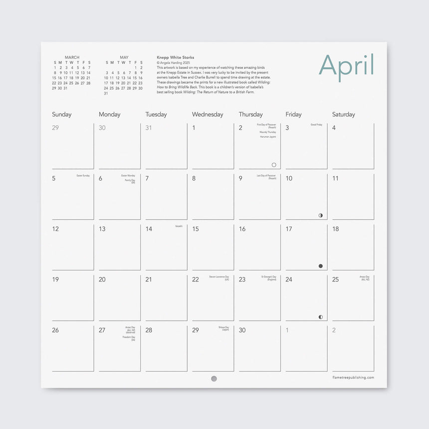 * NEW * 2026 Wall Calendar