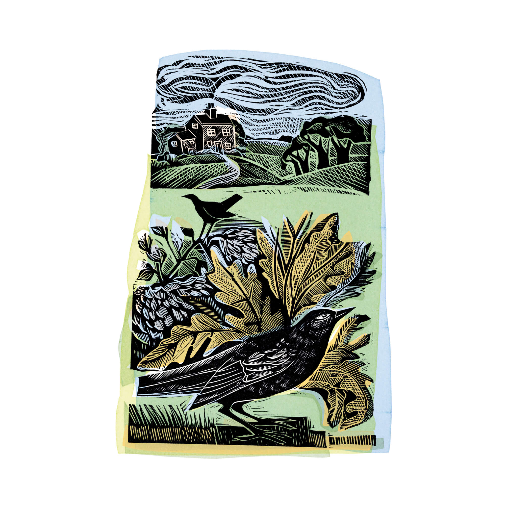Spring Blackbird