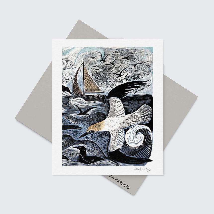 Gannets at Rathlin Island Greeting Card