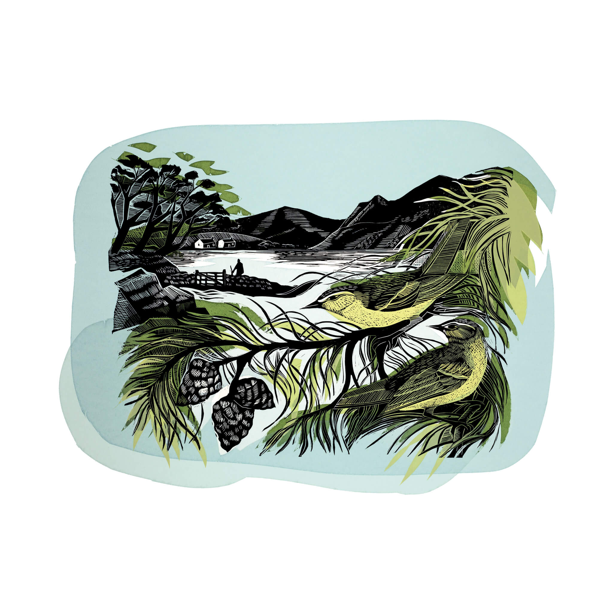 Highland Warblers