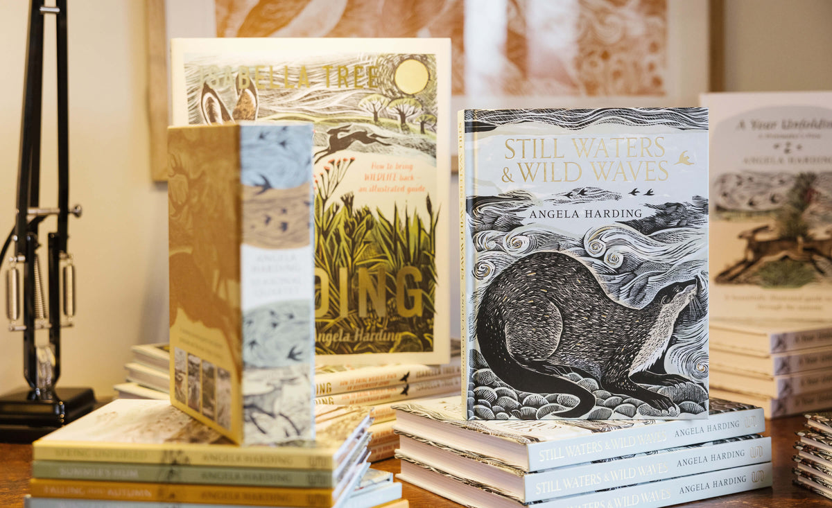 Angela Harding | Illustration