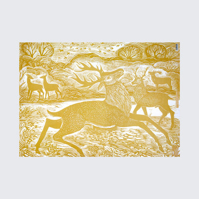 Knepp Red Deer Wrapping Paper