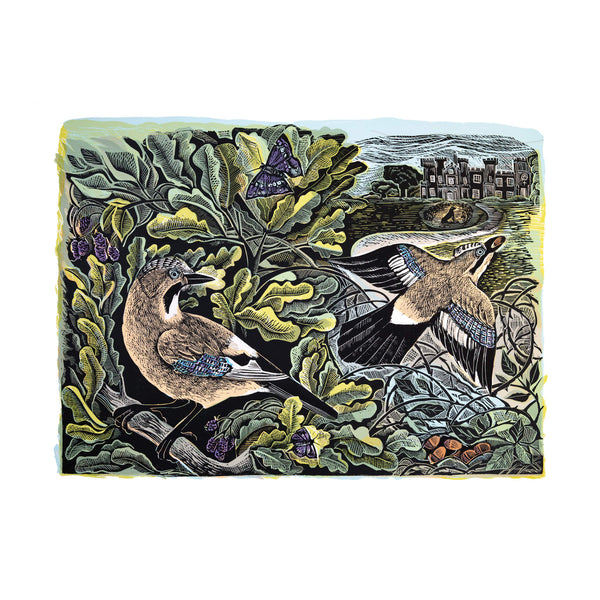 British Birds and Countryside Linocut Prints | Angela Harding