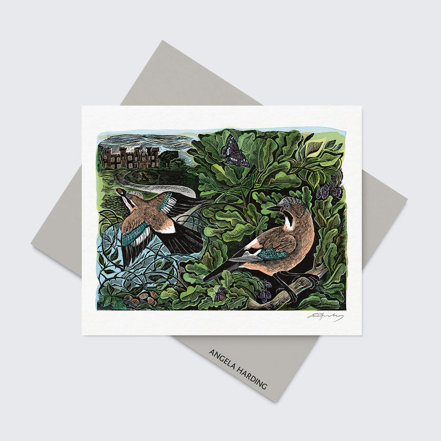 Knepp Jay Greeting Card