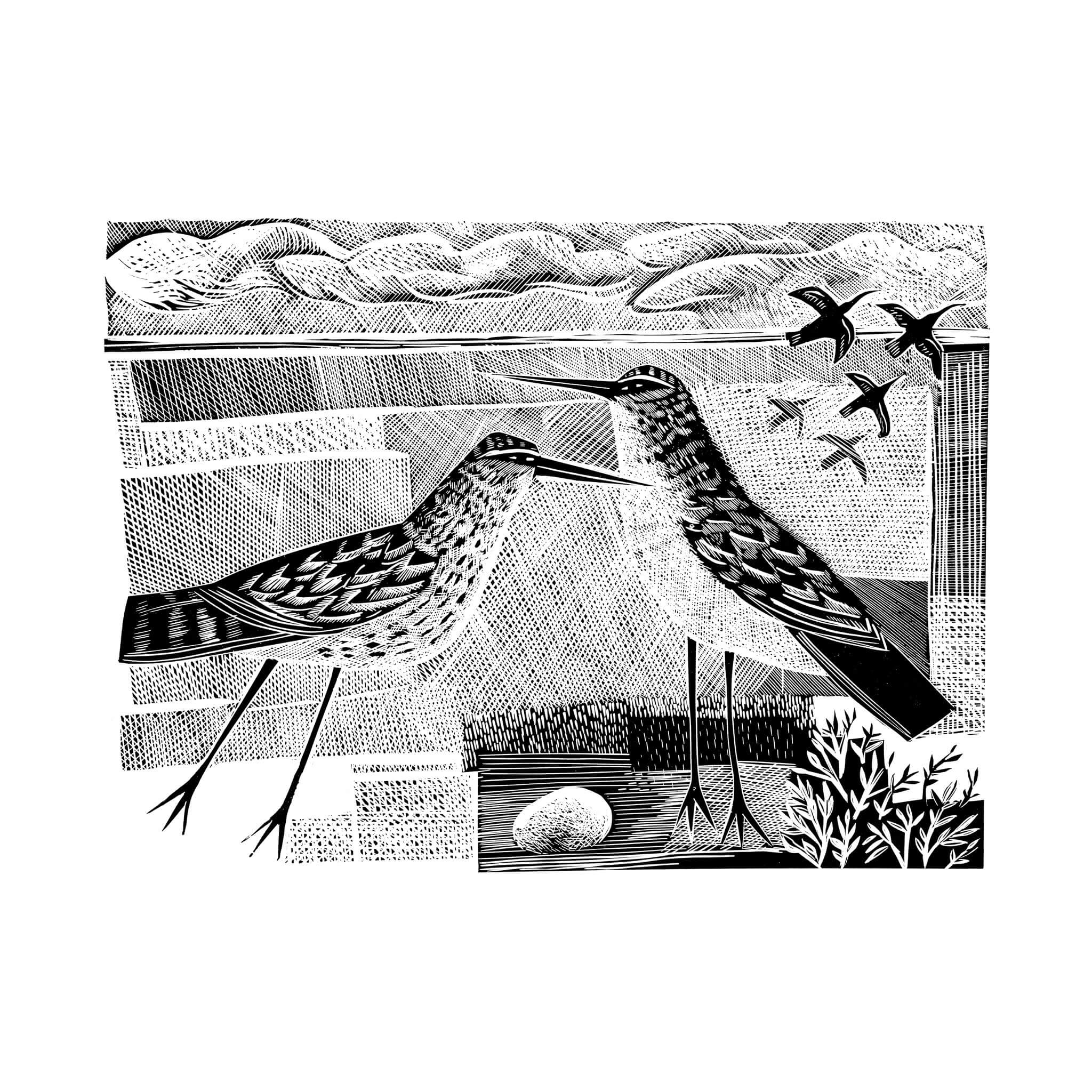 Norfolk Bird (Black & White Edition)