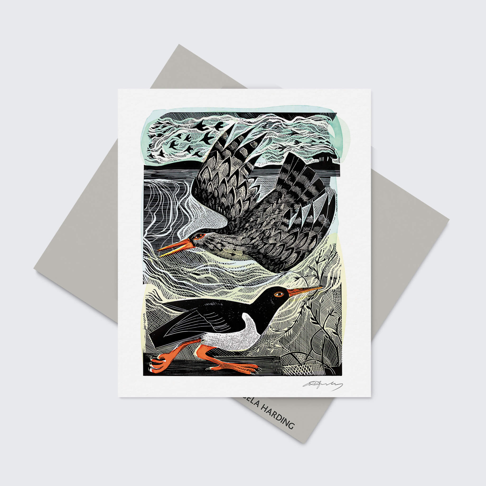 Redshank & Oystercatcher Greeting Card