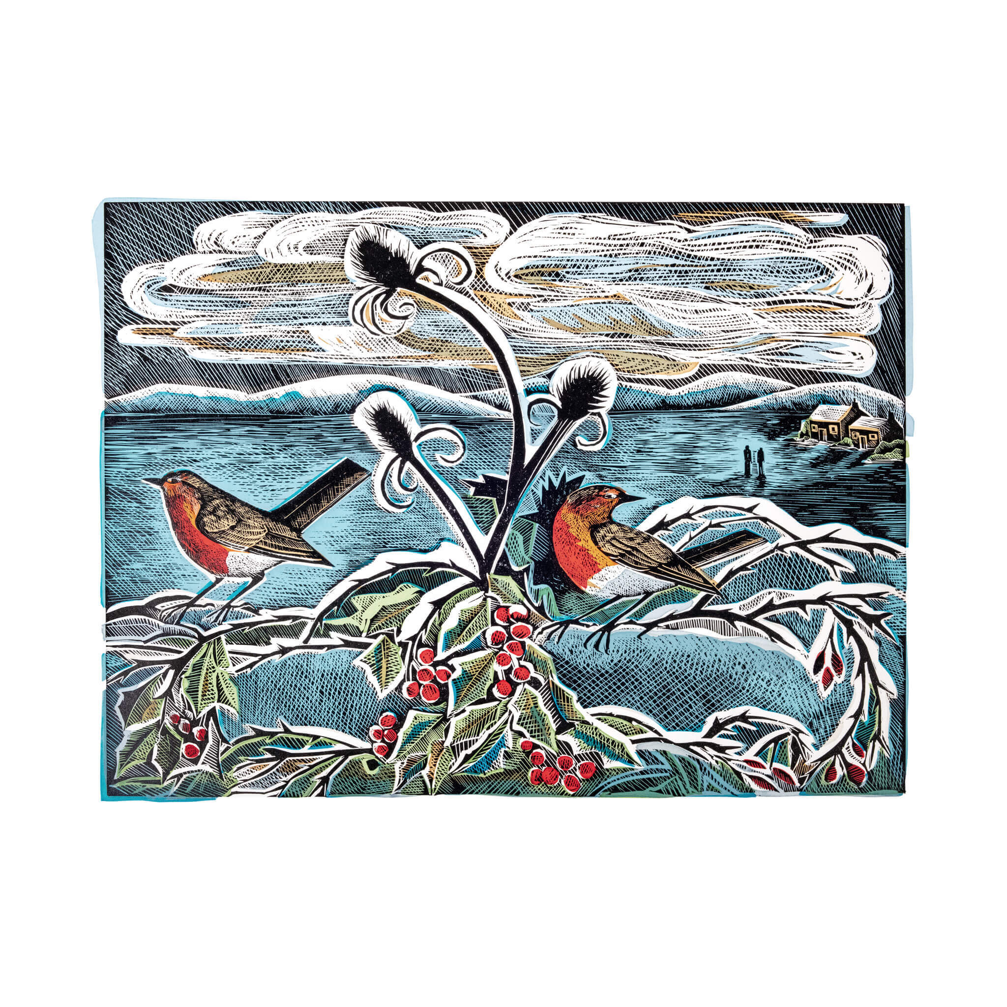 Scottish Robins