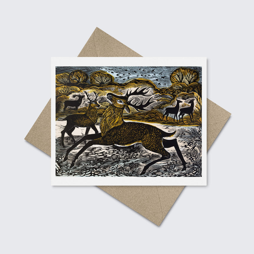 Seasonal Postcard Set - Set of Six