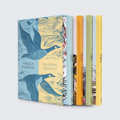 Seasonal Quartet Box Set: Includes Spring Unfurled, Summer’s Hum, Falling into Autumn and Winter’s Song