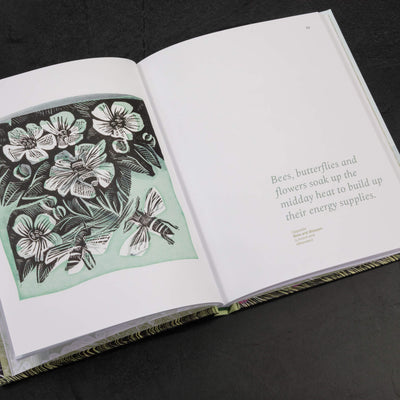 Seasonal Quartet Box Set: Includes Spring Unfurled, Summer’s Hum, Falling into Autumn and Winter’s Song