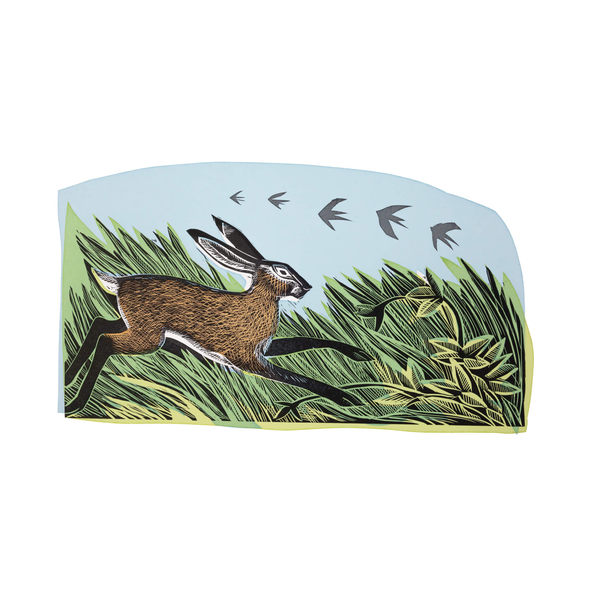Swallows & Hare – Angela Harding