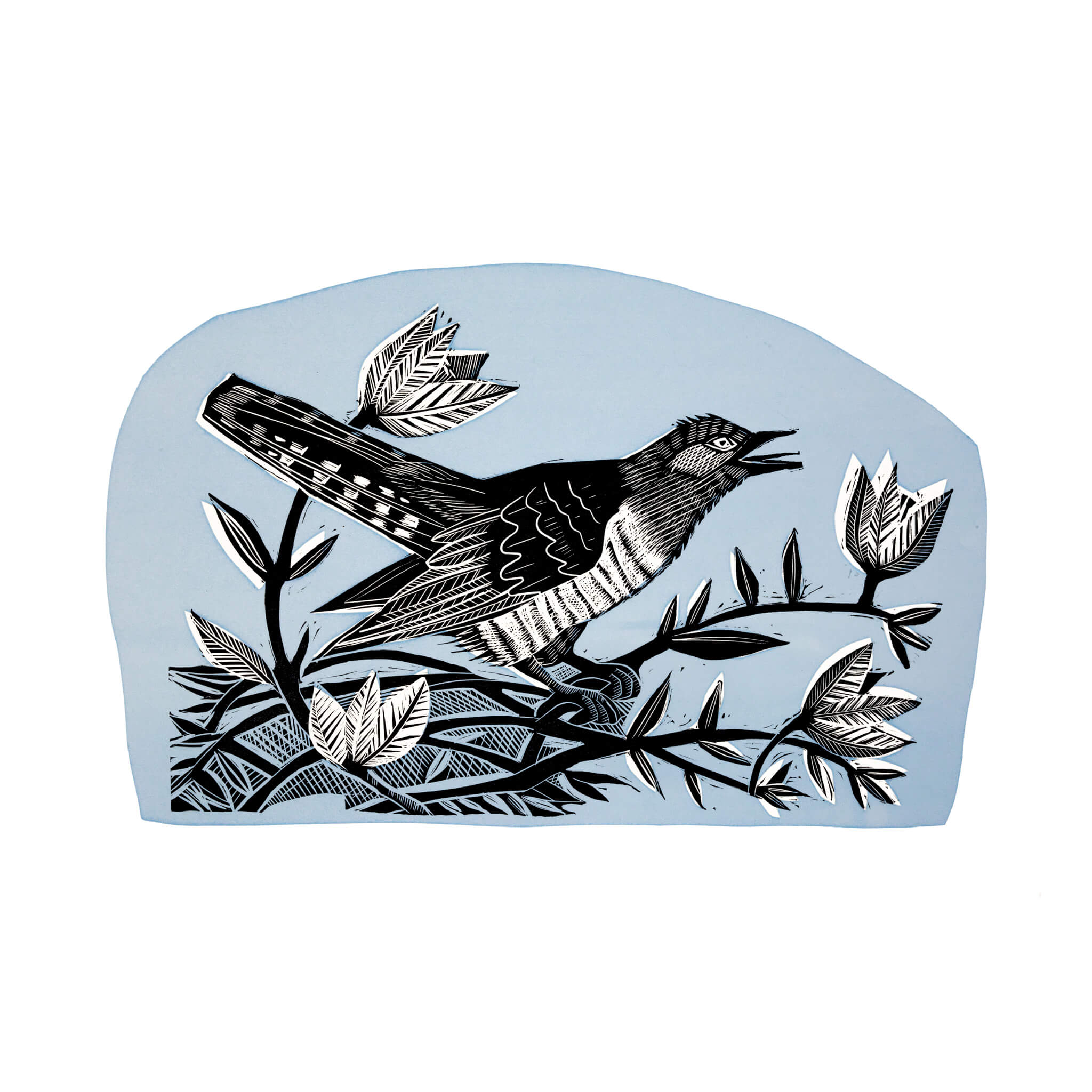 Wing Cuckoo – Angela Harding