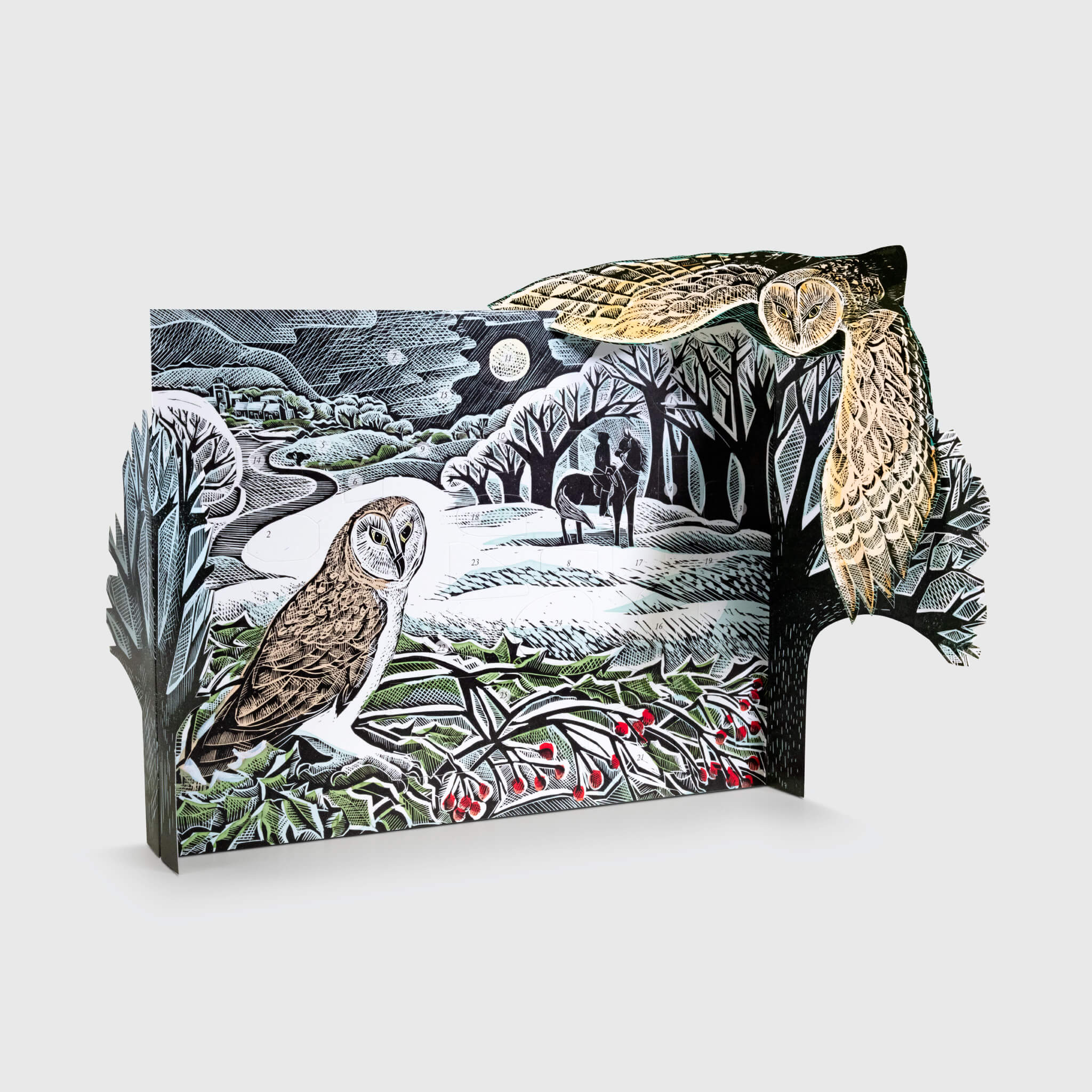 Winter Owl Advent Calendar