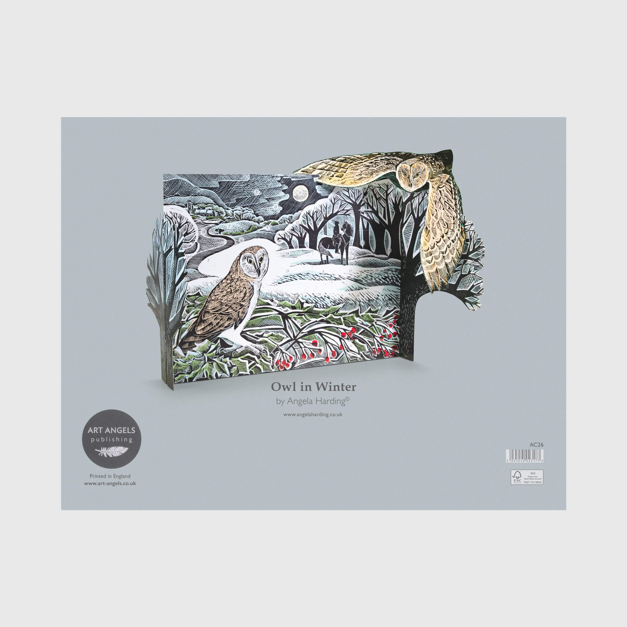 Winter Owl Advent Calendar