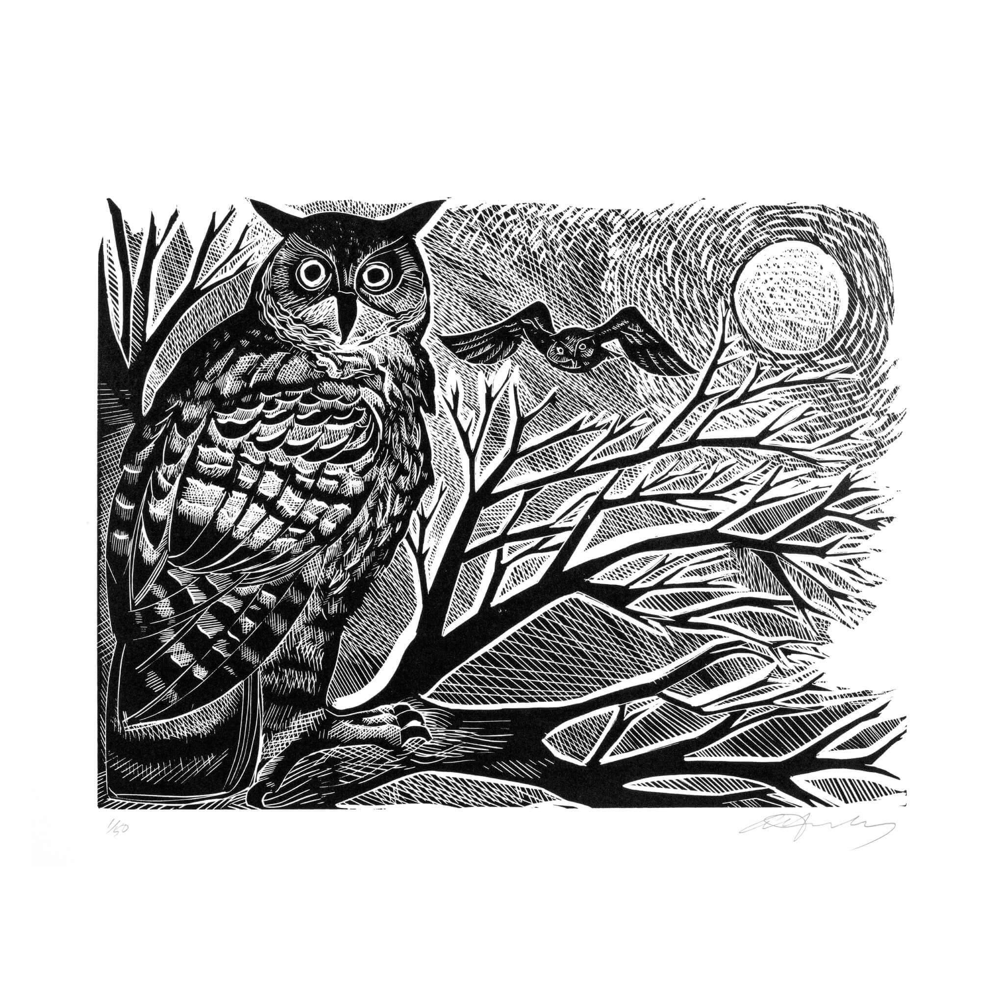 Owl and Moon (Black & White Edition)