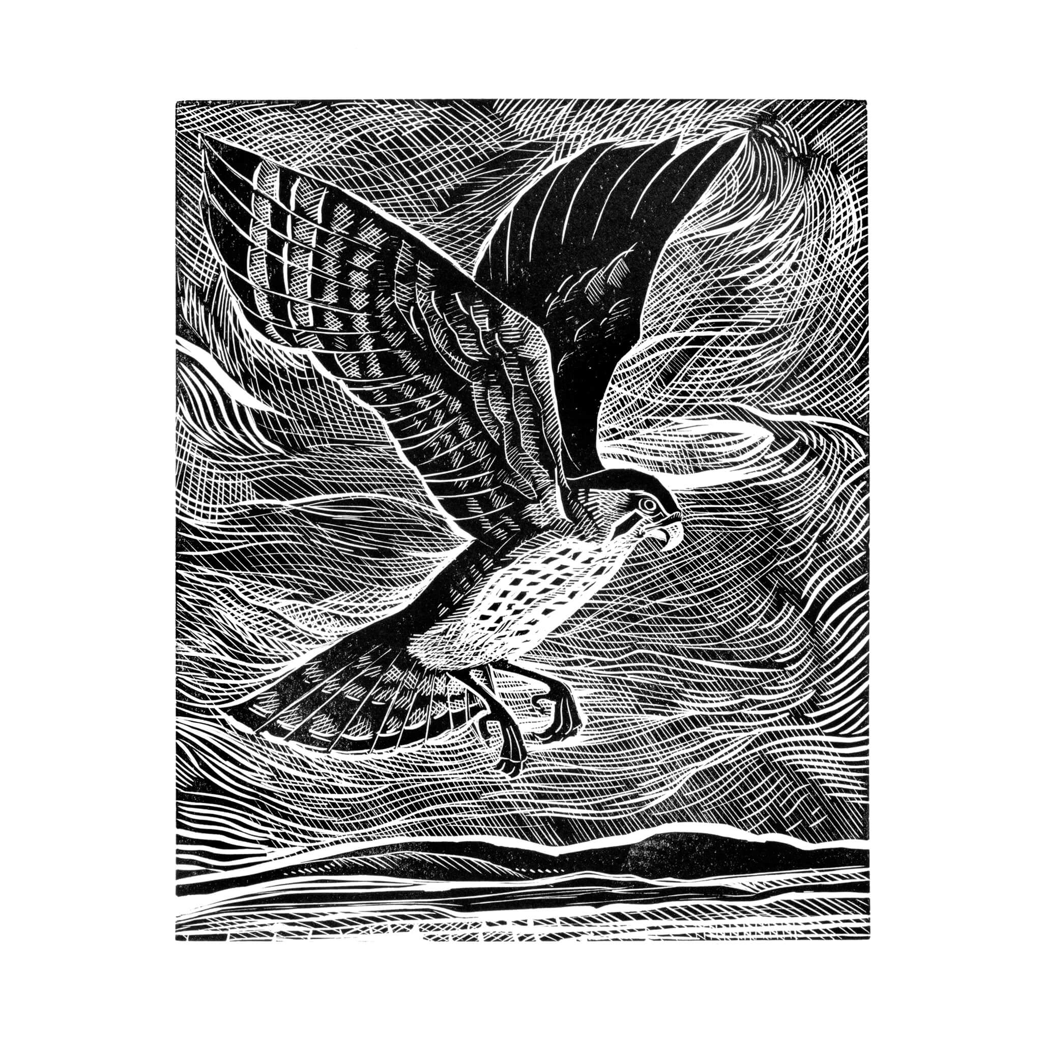 The Windhover (Black & White Edition)